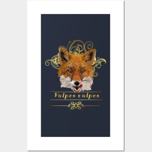 Red fox Posters and Art